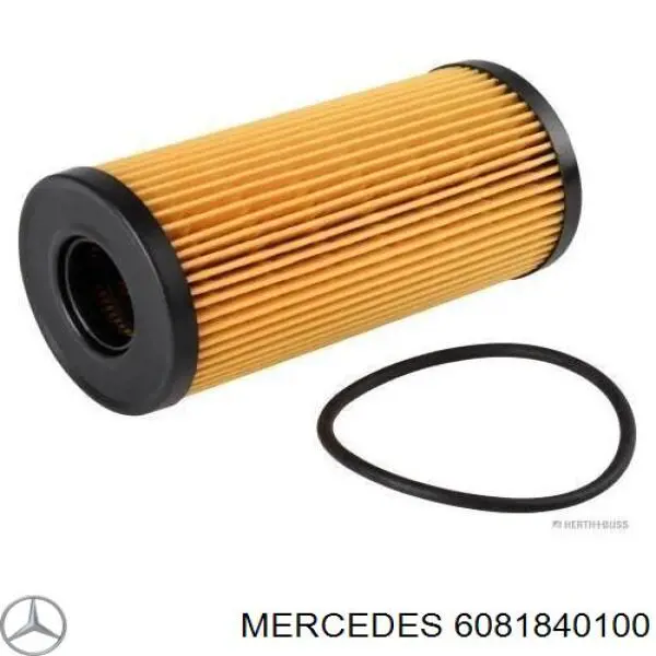 6081840100 Mercedes filtro de óleo