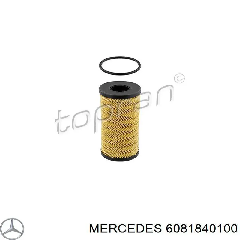 6081840100 Mercedes