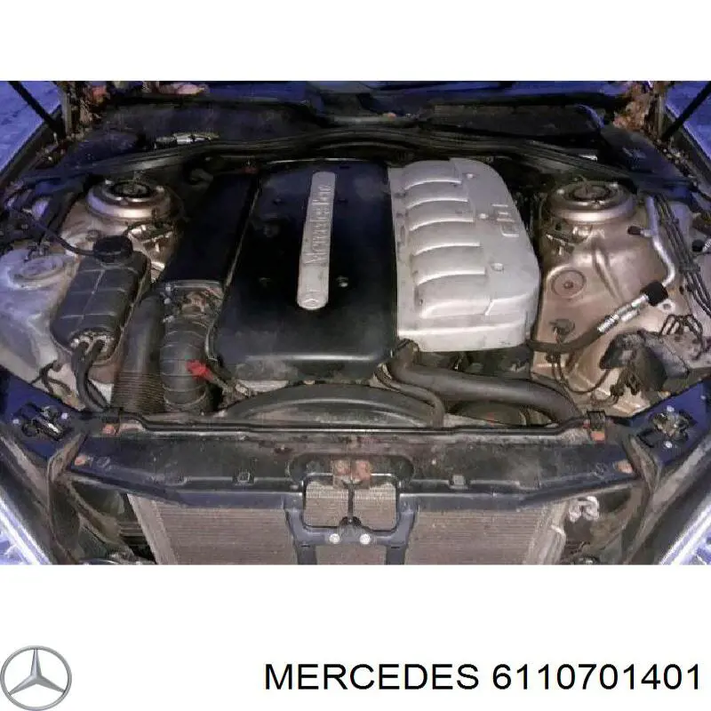 A648070020105 Mercedes Насос топливный высокого давления (ТНВД)