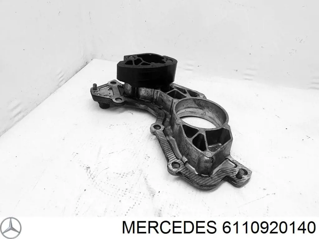 6110920140 Mercedes 