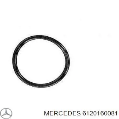 6120160081 Mercedes патрубок вентиляции картера (маслоотделителя)