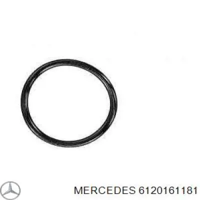 612 016 11 81 Mercedes cano derivado de ventilação de cárter (de separador de óleo)