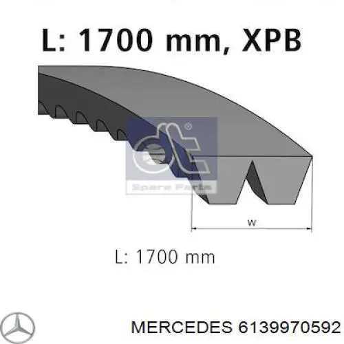 Купить 6139970592 Mercedes Ремень генератора
