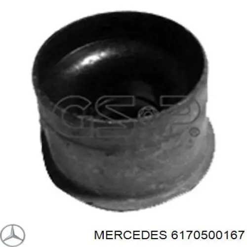 Купить 6170500167 Mercedes Маслосъемный колпачок (сальник клапана) впуск/выпуск, комплект на мотор