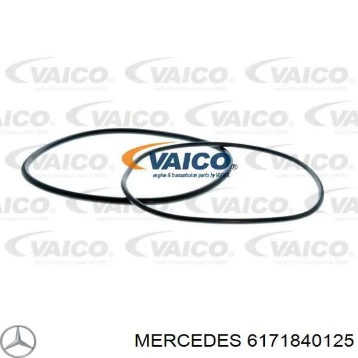 Купить 6171840125 Mercedes Фильтр центробежный очистки масла