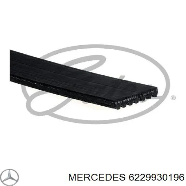 6229930196 Mercedes correia dos conjuntos de transmissão
