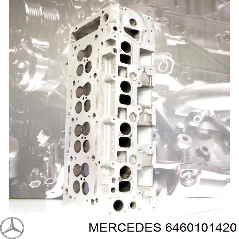 6460101420 Mercedes головка блока цилиндров (гбц)