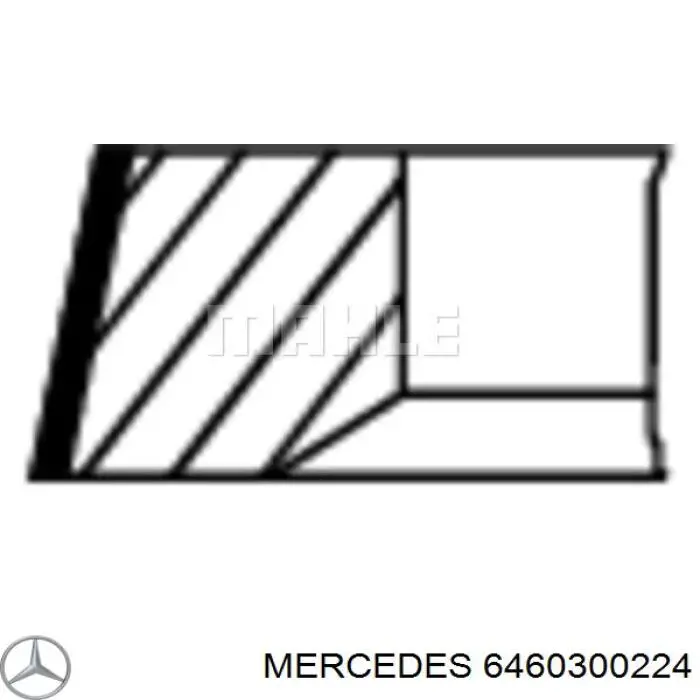 6460300224 Mercedes кольца поршневые на 1 цилиндр, std.
