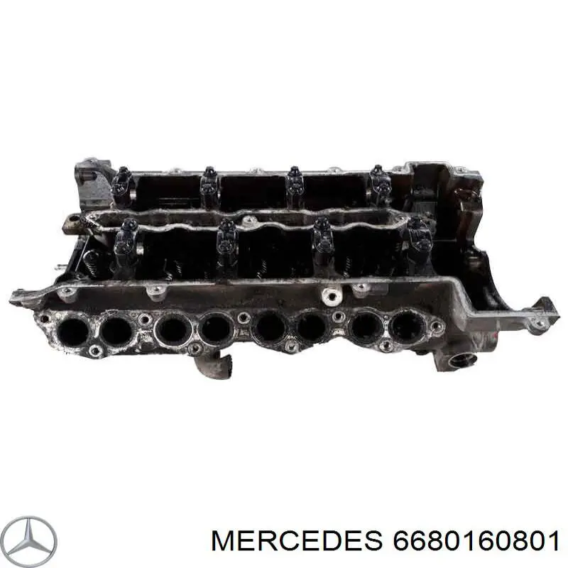 A6680160801 Mercedes cabeça de motor (cbc)