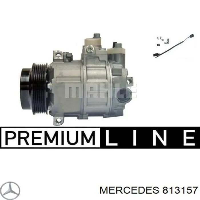  813157 Mercedes