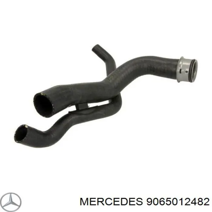 9065012482 Mercedes шланг (патрубок радиатора охлаждения нижний)