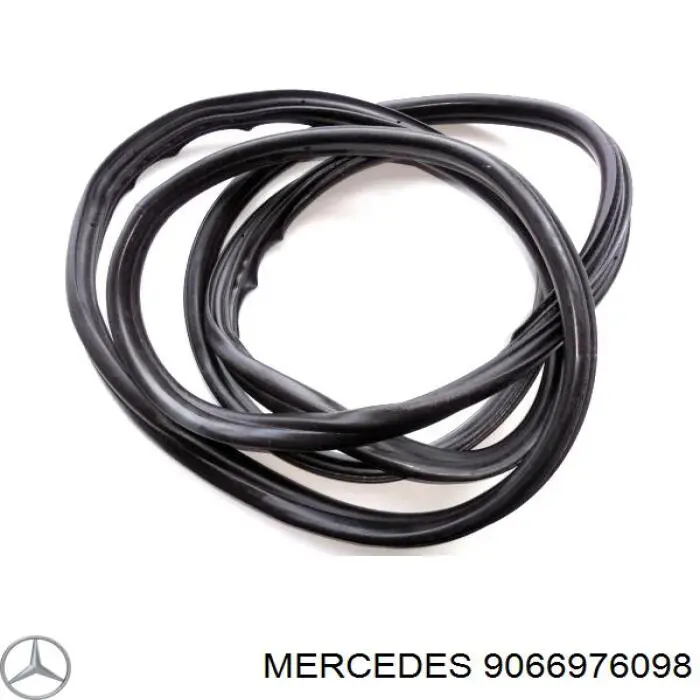 9066976098 Mercedes уплотнитель двери передней (на кузове)