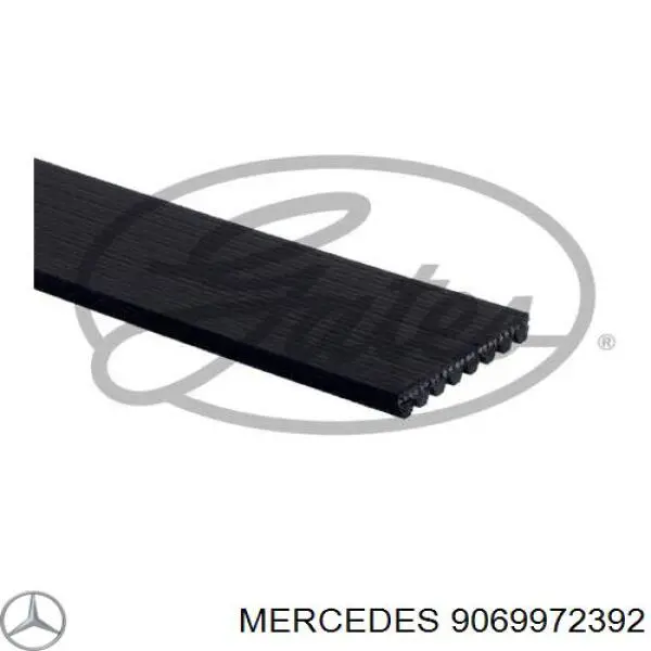 Клиновый ремень Mercedes 9069972392 цена, от 25.22 USD