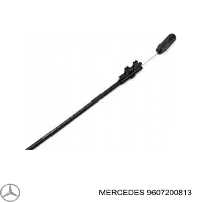 9607200813 Mercedes 