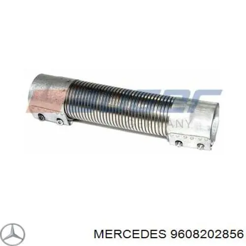  9608202856 Mercedes
