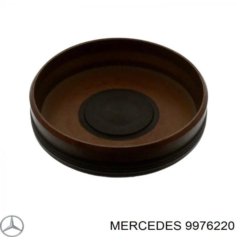 9976220 Mercedes заглушка гбц/блока цилиндров