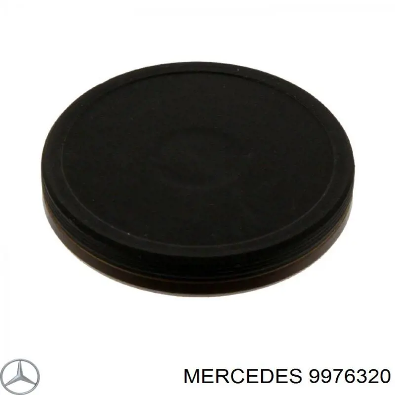 9976320 Mercedes заглушка гбц/блока цилиндров