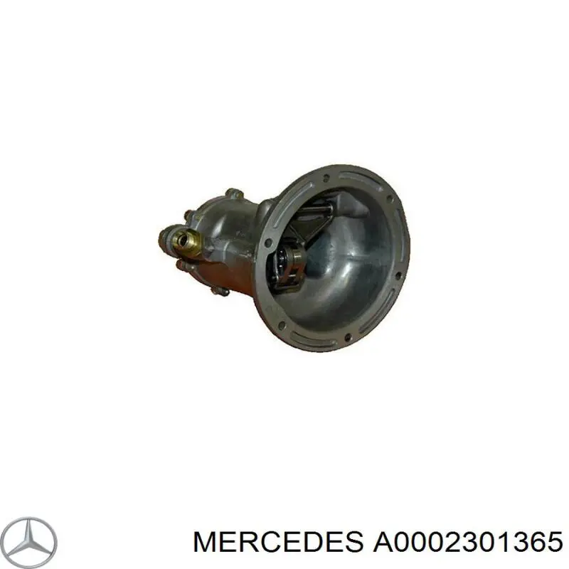 Bomba a vácuo para Mercedes 100 (631)