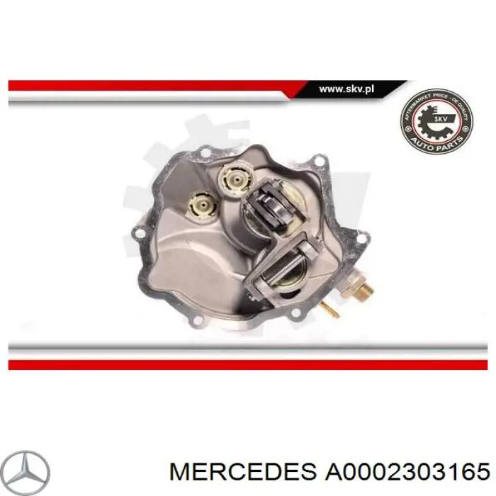 Compre A0002303165 Mercedes Bomba a vácuo