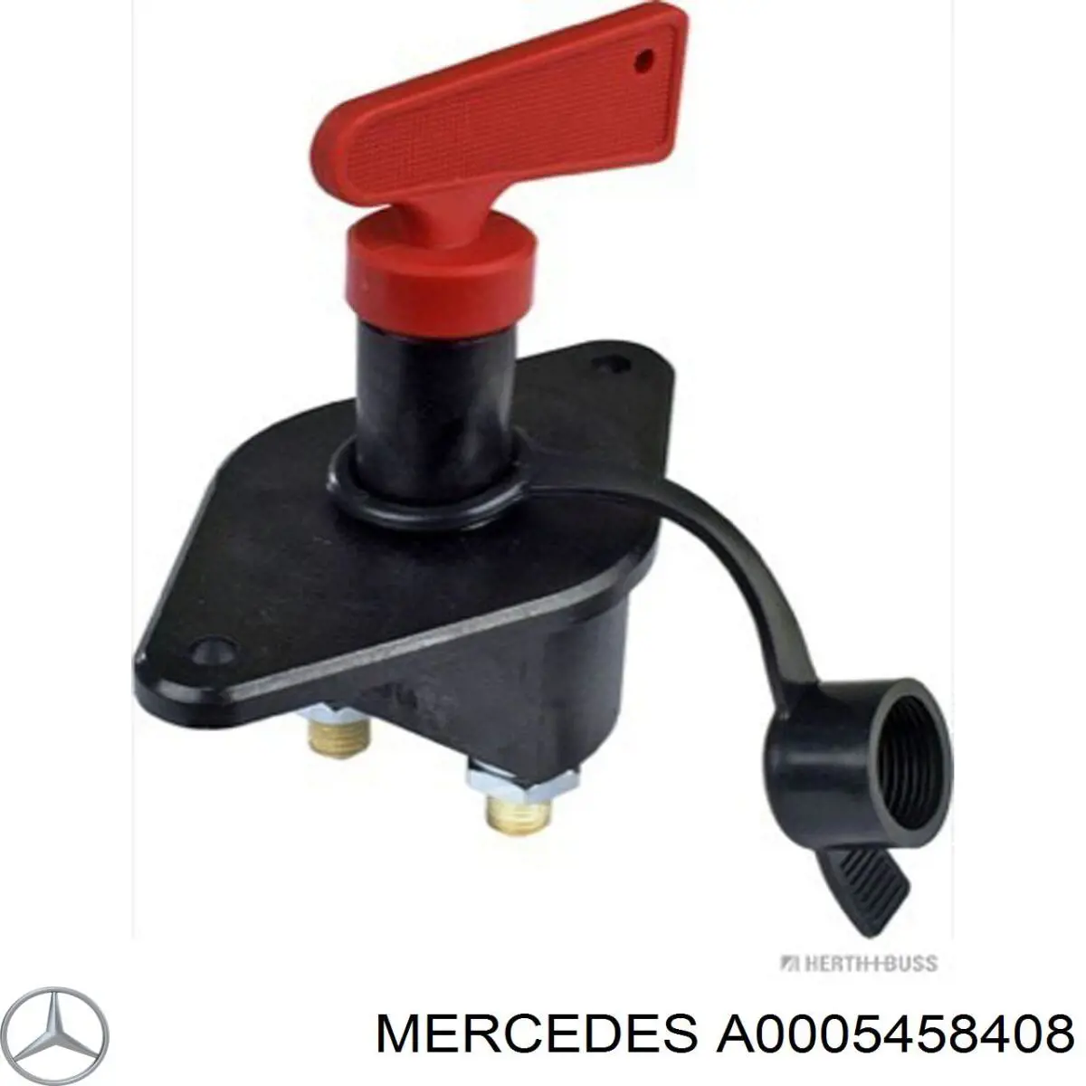 1730031 Ford interruptor de terra