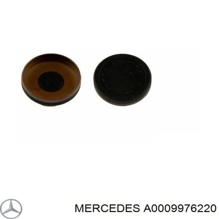 A0009976220 Mercedes заглушка гбц/блока цилиндров