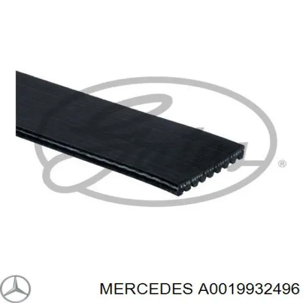 Клиновый ремень Mercedes A0019932496 цена, от 28.59 USD