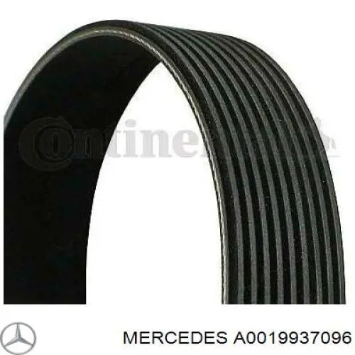 A0019933596 Mercedes ремень генератора