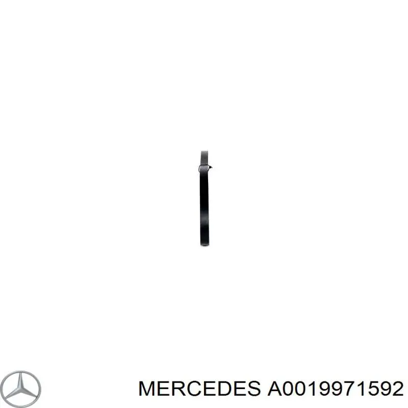 A0019971592 Mercedes ремень генератора