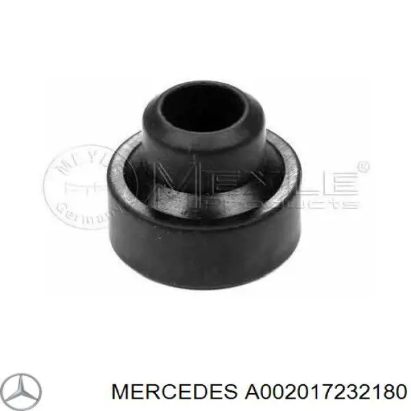 Форсунки A002017232188 Mercedes