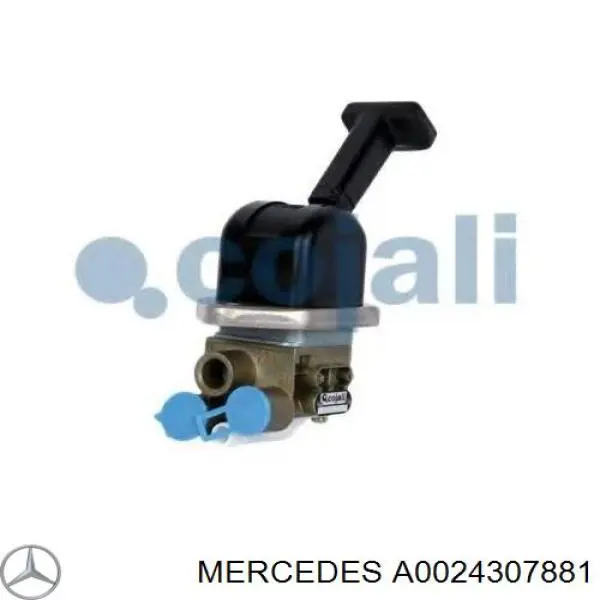 A0024307881 Mercedes 