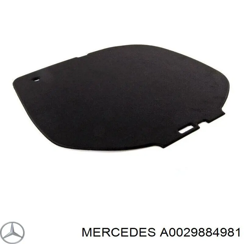  A0029884981 Mercedes