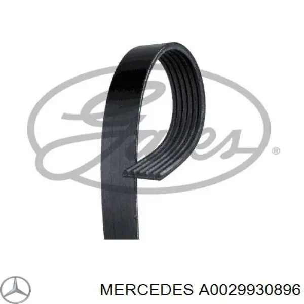 A0029930896 Mercedes correia dos conjuntos de transmissão