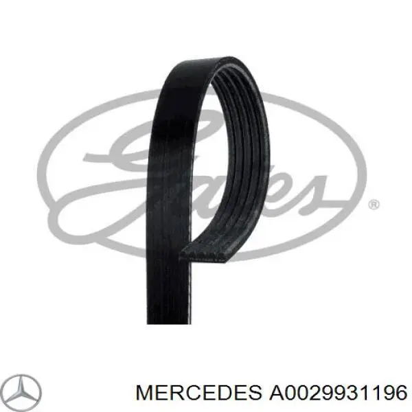 A0029931196 Mercedes correia dos conjuntos de transmissão