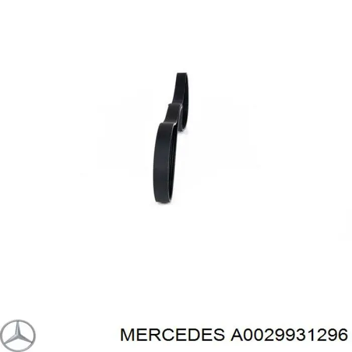 A0029931296 Mercedes correia dos conjuntos de transmissão