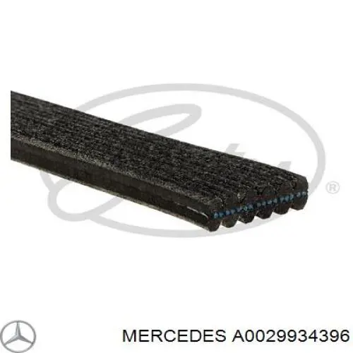 A0029934396 Mercedes correia dos conjuntos de transmissão