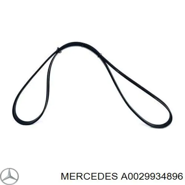 A0029934896 Mercedes correia dos conjuntos de transmissão