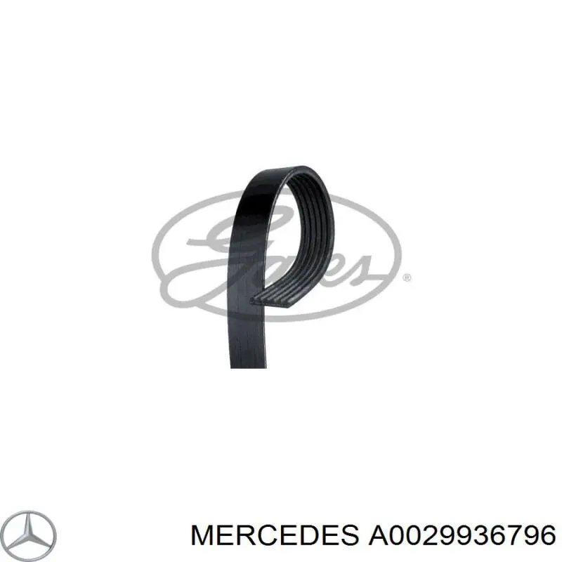 A0029936796 Mercedes correia dos conjuntos de transmissão
