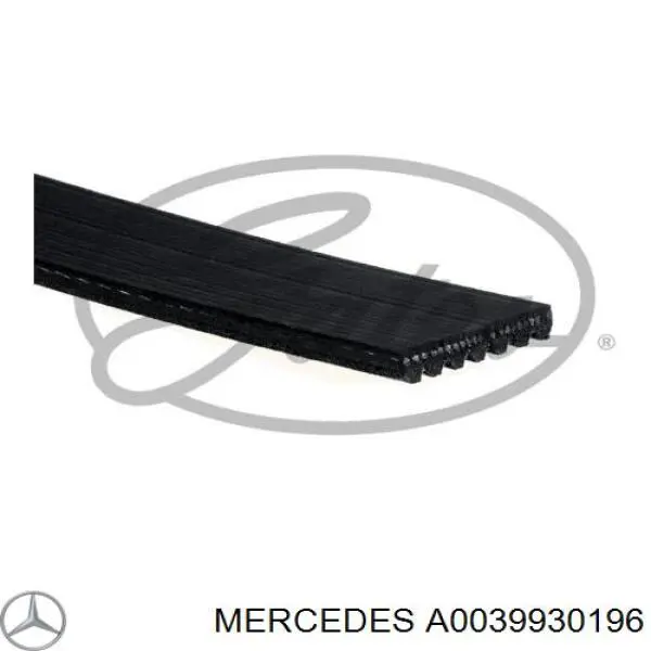 A0039930196 Mercedes correia dos conjuntos de transmissão