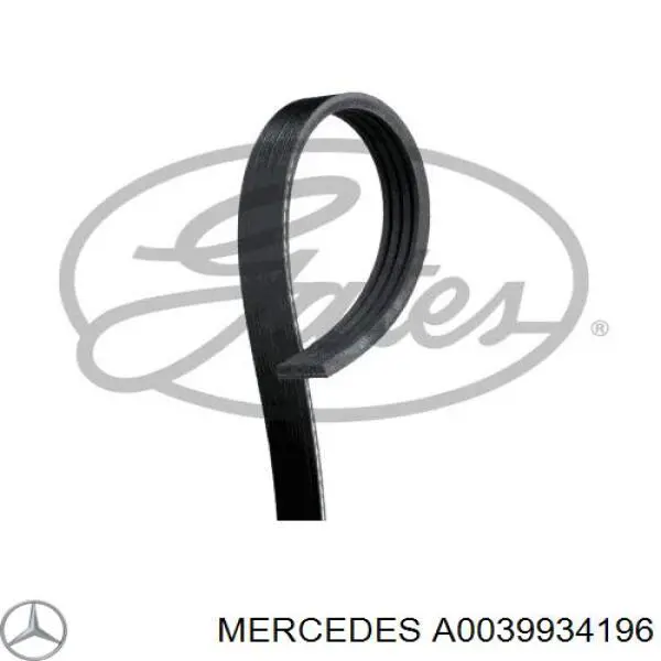 A0039934196 Mercedes correia dos conjuntos de transmissão