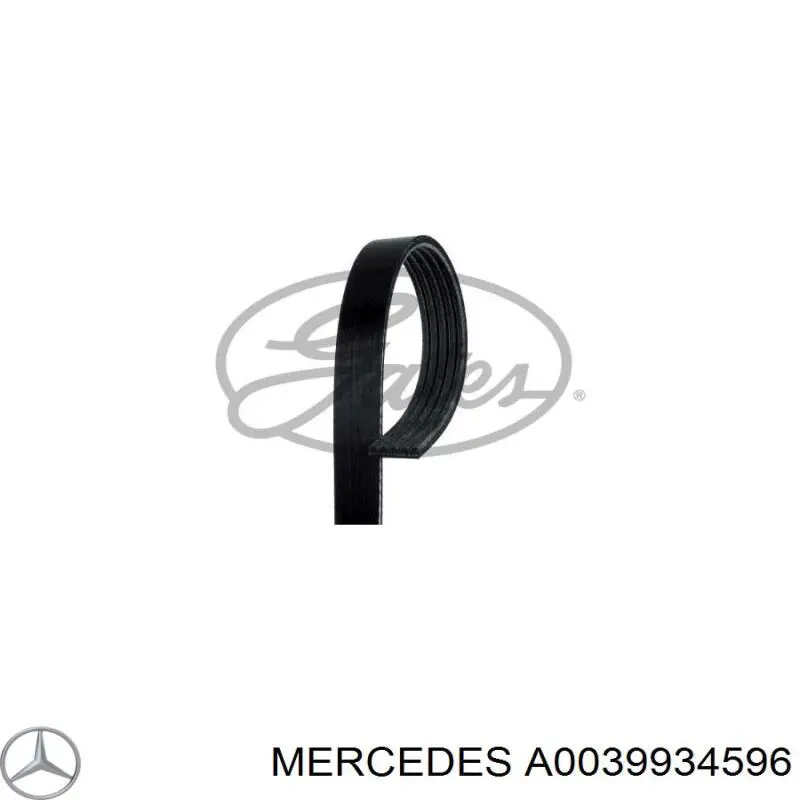 A0039934596 Mercedes ремень генератора