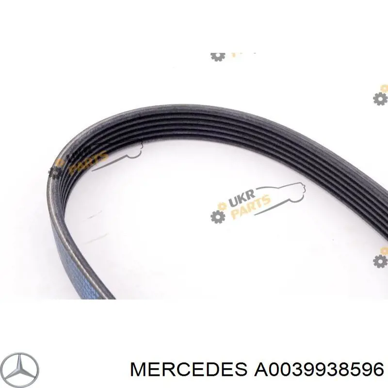 Клиновый ремень Mercedes A0039938596 цена, от 88.92 USD