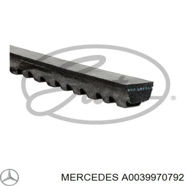A0039970792 Mercedes Поликлиновый ремень