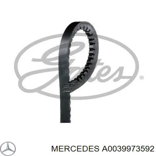 Ремень генератора A0039973592 Mercedes