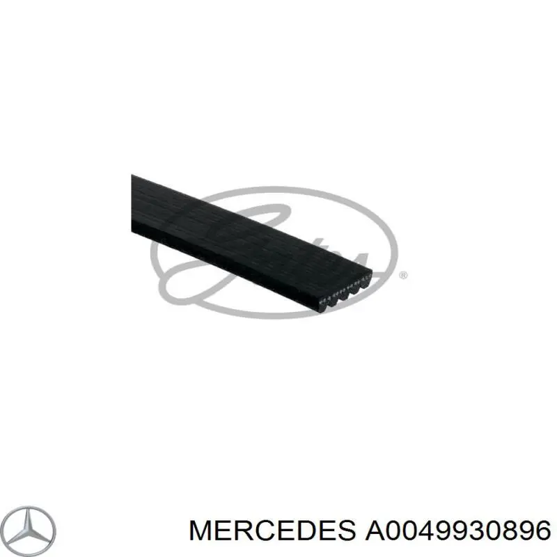 0049930896 Mercedes correia dos conjuntos de transmissão