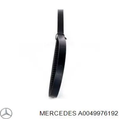 A0049976192 Mercedes Поликлиновый ремень