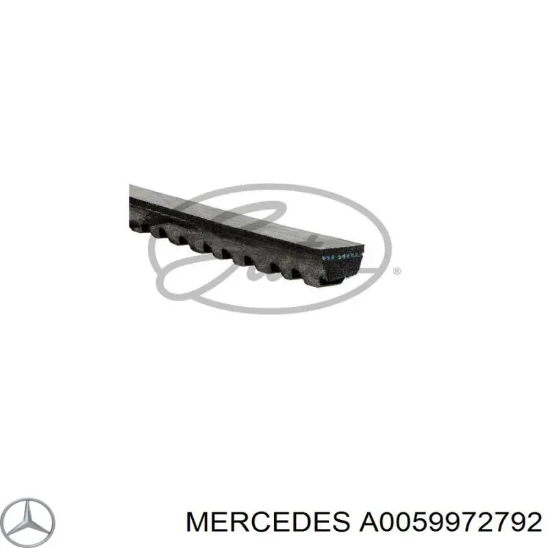 A0059972792 Mercedes Поликлиновый ремень