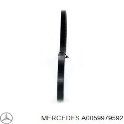 Клиновый ремень Mercedes A0059979592 цена, от 7.56 USD