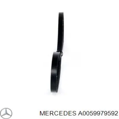 Купить A0059979592 Mercedes Ремень генератора