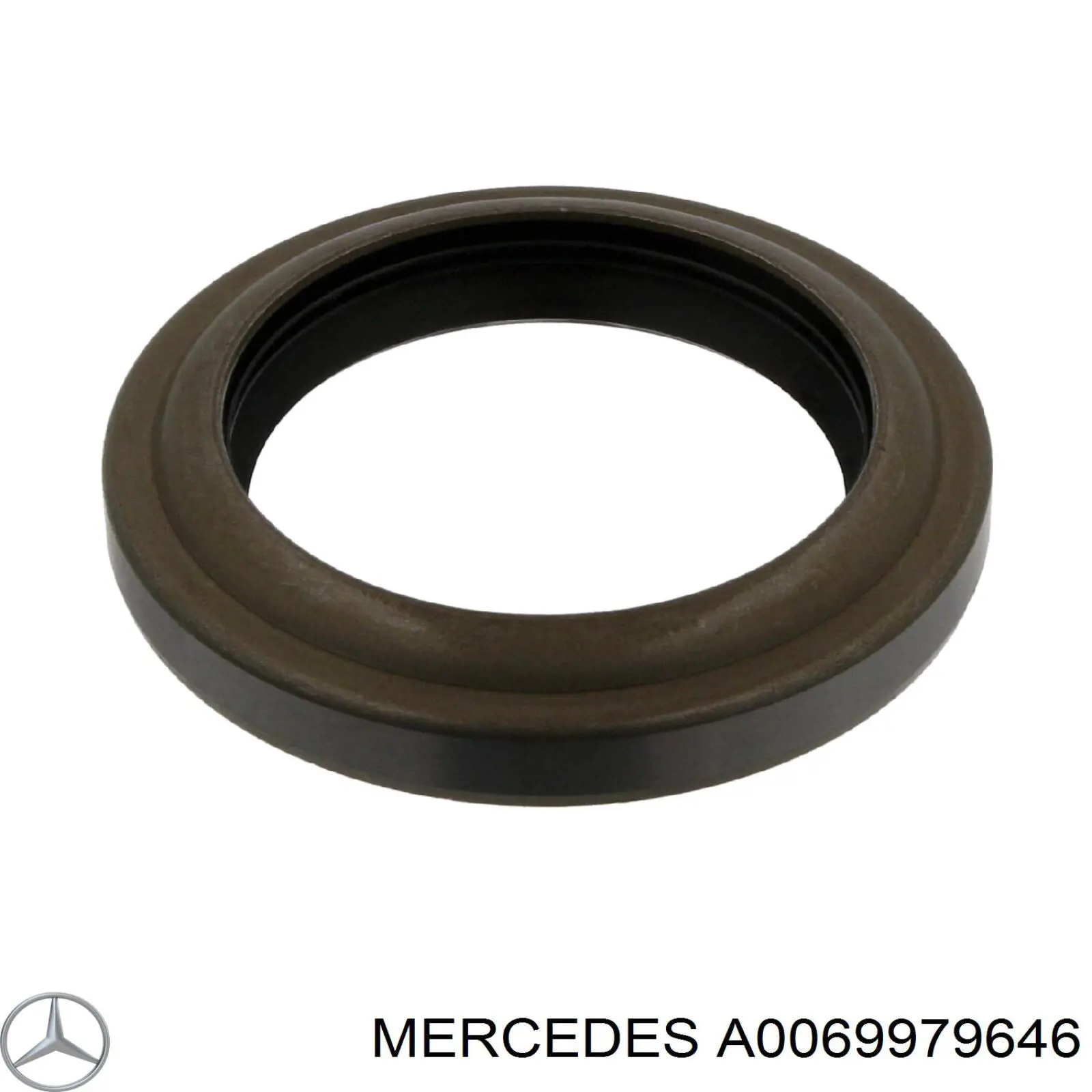  A0069979646 Mercedes