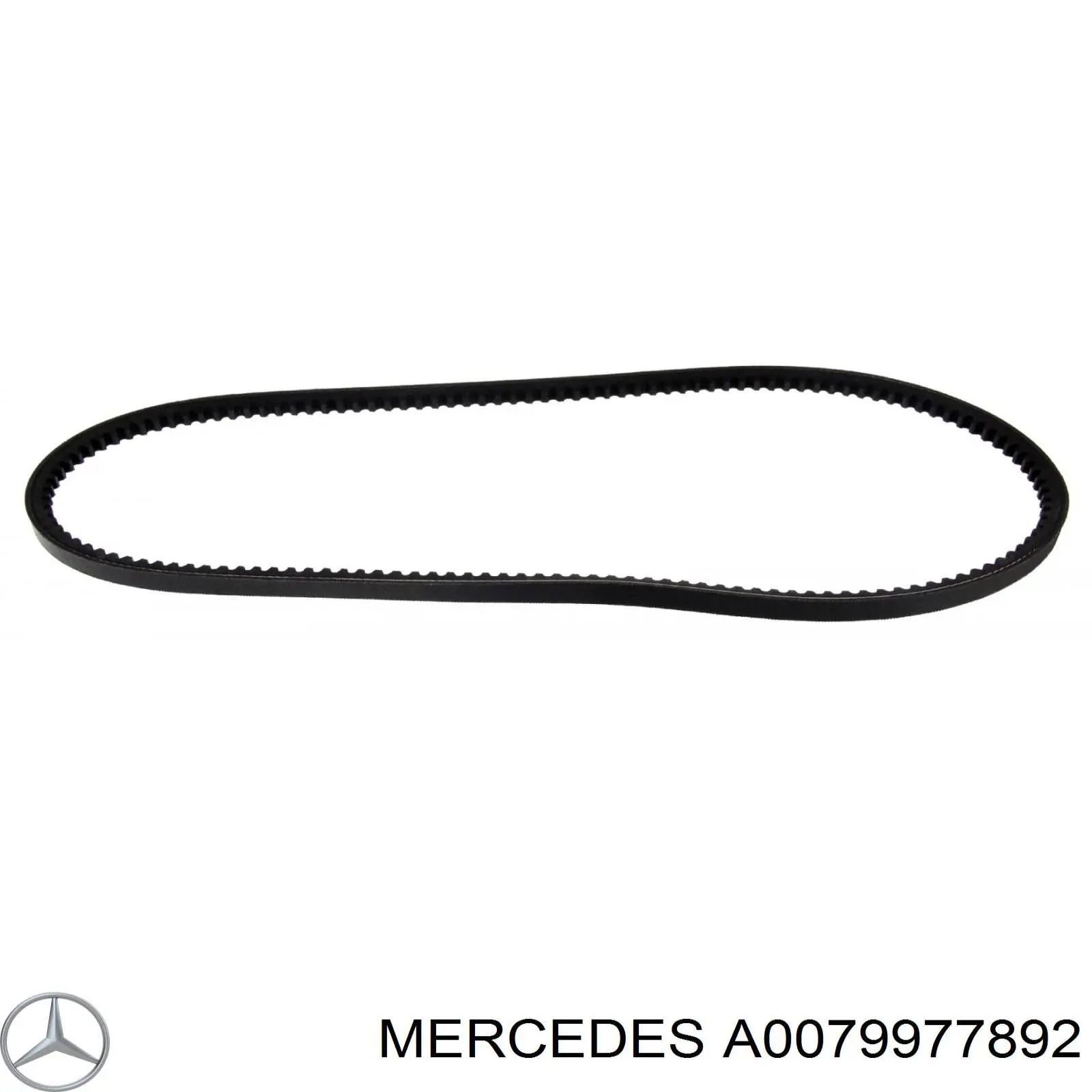 Клиновый ремень Mercedes A0079977892 цена, от 4.29 USD